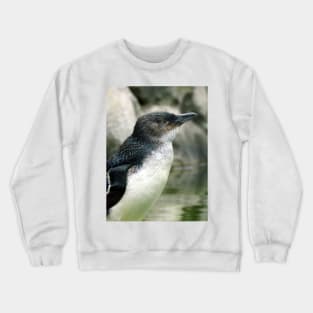 Little Penguin Crewneck Sweatshirt